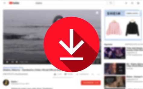 Programa De Descargar Musical Gratis 的图像结果