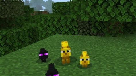 Image result for Cat Minecraft Mods