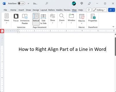 How to Add Alignment Line in Word 的图像结果