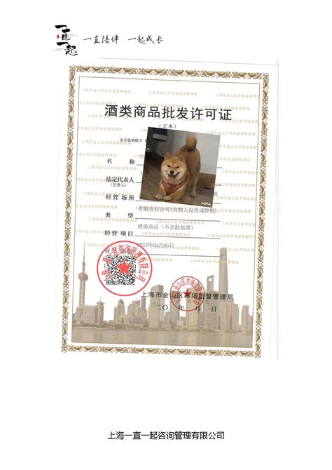 上海市企业如何办理酒类经营许可证 - 知乎