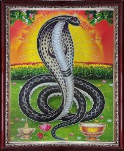 Shyam Framing Art Shree Nagdev Religious Frame Price in India - Buy ...