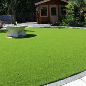 PMA Lawn Grass Seed for Cricket/Park/Football area, Grass Seed Price in ...