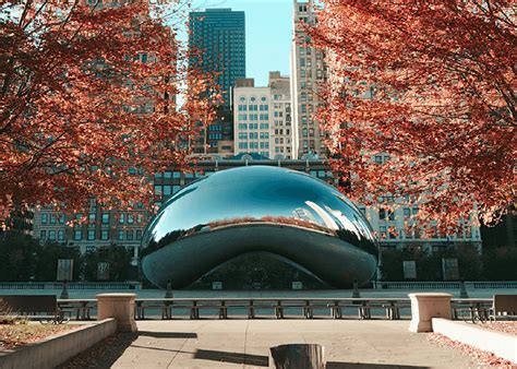 Image result for 312 Area Code Zip Code