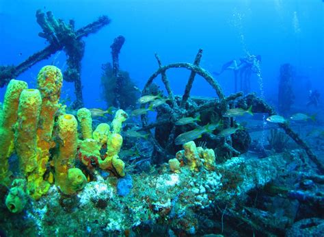 CORAIL CLUB CARAÏBES (2026) All You Need to Know BEFORE You Go (with ...