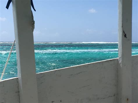 REEF RUNNER GLASS BOTTOM BOAT (2025) All You Need to Know BEFORE You Go ...