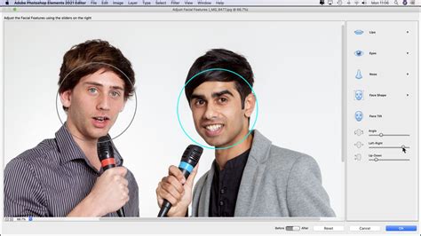 Image result for Photoshop Elements 2021 For Dummies Tutorial