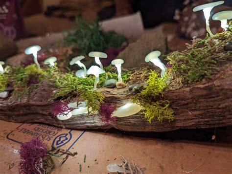 The Shocking Truth Behind ElfGirlTalia Leak - Truth or Fiction