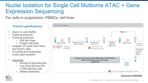 Nuclei Isolation | 10x Genomics