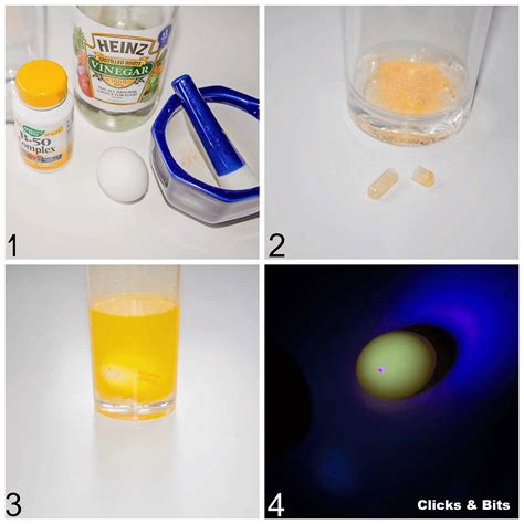 Glowing, Bouncy Egg Science Experiment - Clicks and Bits