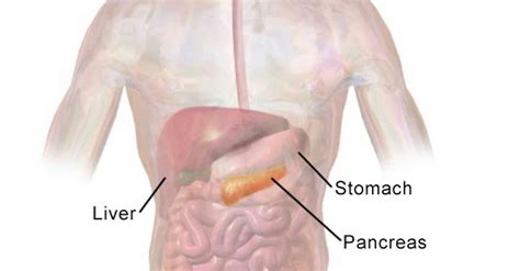 Pancreatic cancer specialist explains challenges of the disease and ...