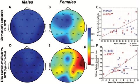 Raven Colored Progressive Matrices - Psychophysiology and Chronobiology ...