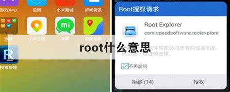 root什么意思,root,root_大山谷图库