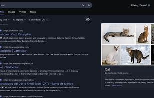 Image result for WebCrawler Search Engine