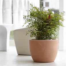 vasi per piante da esterno prezzi vaso per piante da interno ed esterno hera nicoli vasi per piante da esterno prezzi vaso per piante da interno ed esterno hera nicoli
