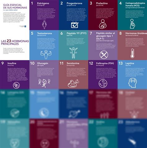 SOLUTION: Hormone guide 5x5 grid 25x25 spanish - Studypool