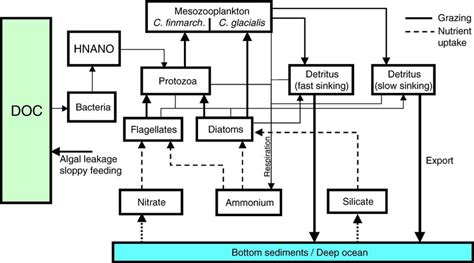 Image result for Ecosystem Structure Model