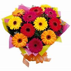 significato dei fiori gerbera bouquet gerbere regali net significato dei fiori gerbera bouquet gerbere regali net
