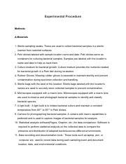 Image result for Procedure Science Project