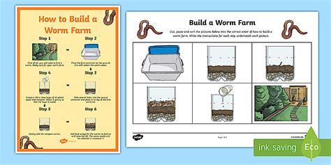 How to Build A Worm Farm Activity PDF | Twinkl Biology