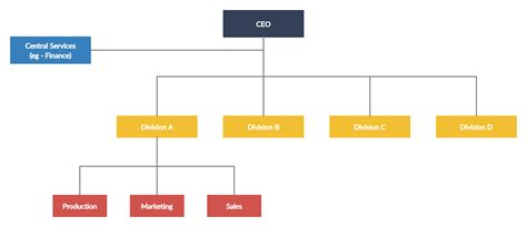 Divisional Structure Organization Chart 的图像结果