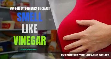 The Experience Of Pregnancy In The 19Th Century: A Look Into The Past ...