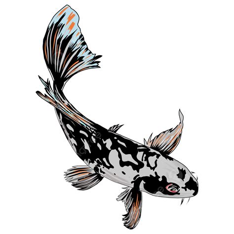 Koi Fish Japan Vector Art PNG, Black Koi Fish, Koi, Fish, Animal PNG ...