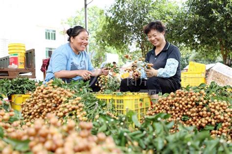 “四好”生活让农牧民笑开颜-党政要闻-康巴传媒网