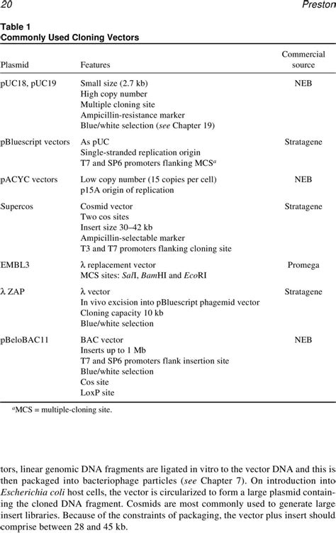 Image result for Replacement Vector Vector Structure