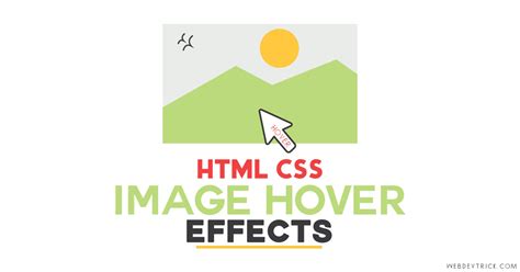 Hover for Container in HTML and CSS 的图像结果