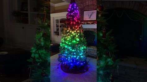 Image result for xLights Tree Model