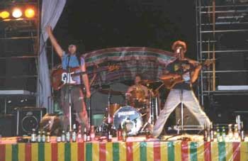 Image result for Spring Scream