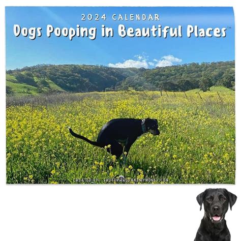 Buy Dogs Pooping in Beautiful Places 2024 Dog Pooping 2024 Funny Dog ...