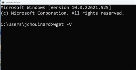 Image result for Install Wget Python
