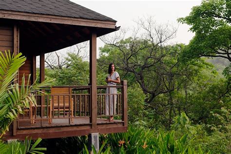 The Finest Goa Hotels With World-Class Hospitality and Amenities