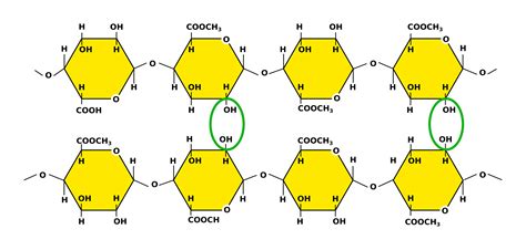 Kuvatulokset haulle pectin vs inulin