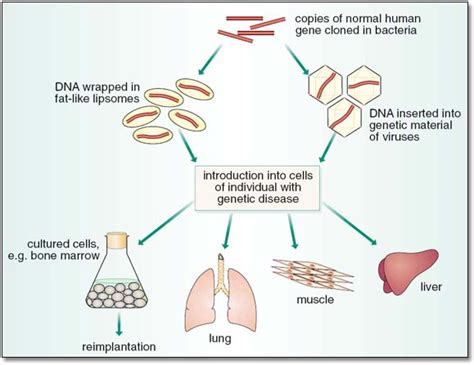 Gene Therapy 的图像结果