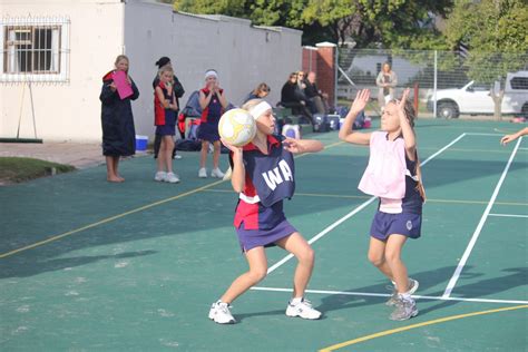 Netball Signals 的图像结果