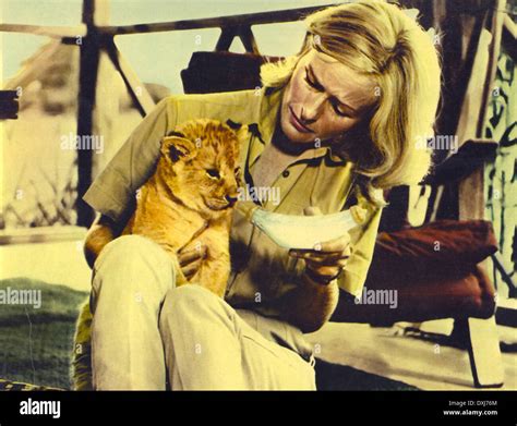 Born free film still hi-res stock photography and images - Alamy