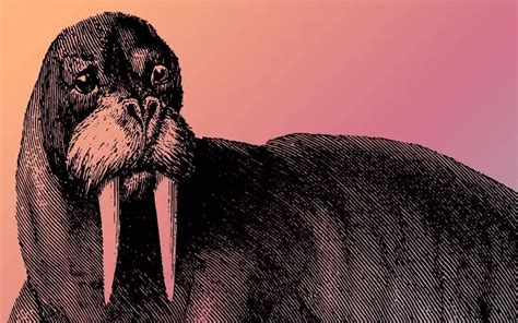 Image result for Project Using CSS Animation