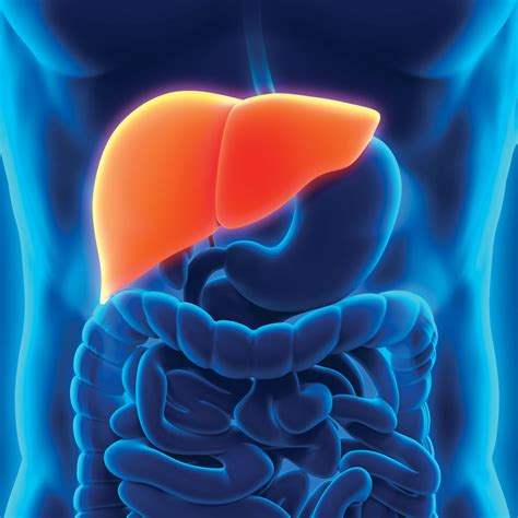 Liver Tumors: Powerful Treatment - Y-90 Radioembolization