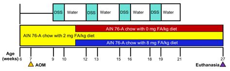 Folic Acid Supplementation Promotes Hypomethylation in Both the ...