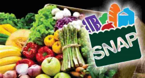 Image result for Snap Code Spain