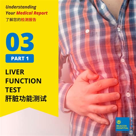 Liver Function Test (Part 1) | Health Screening Guide – Beacon Health Screening Centre