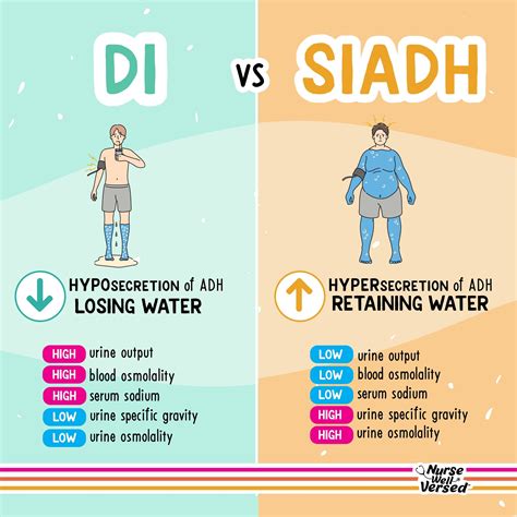 💧 Diabetes Insipidus vs. SIADH 🌵 Diabetes Insipidus (DI): LOW amounts ...