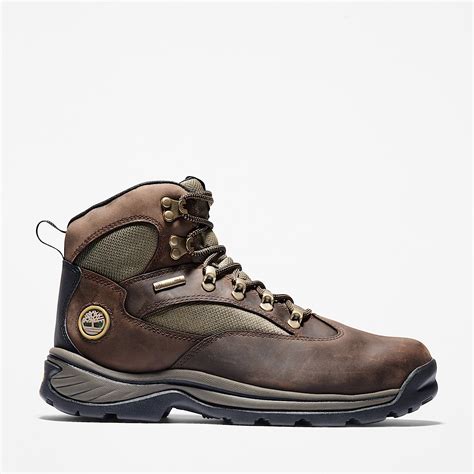 Chocorua Waterproof Hiking Boot for Men in Brown