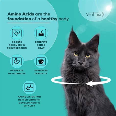 Amino Acid Supplement for Cats Venttura Amino+ Multivitamin