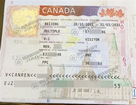 加拿大签证办理流程（加拿大旅游签证最新政策）_玉环网