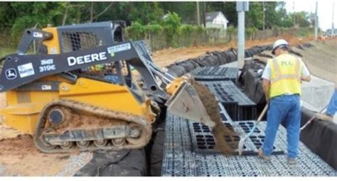 Image result for Century Plant Root System