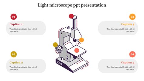 Microscope Example Slide 的图像结果